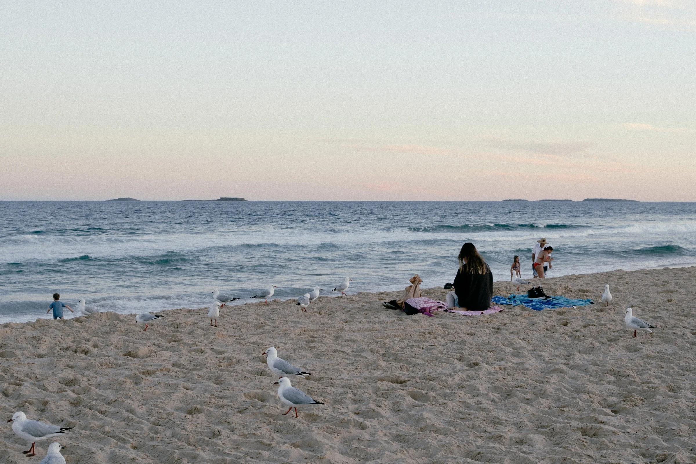 Seagulls and Beachgoers at Dusk