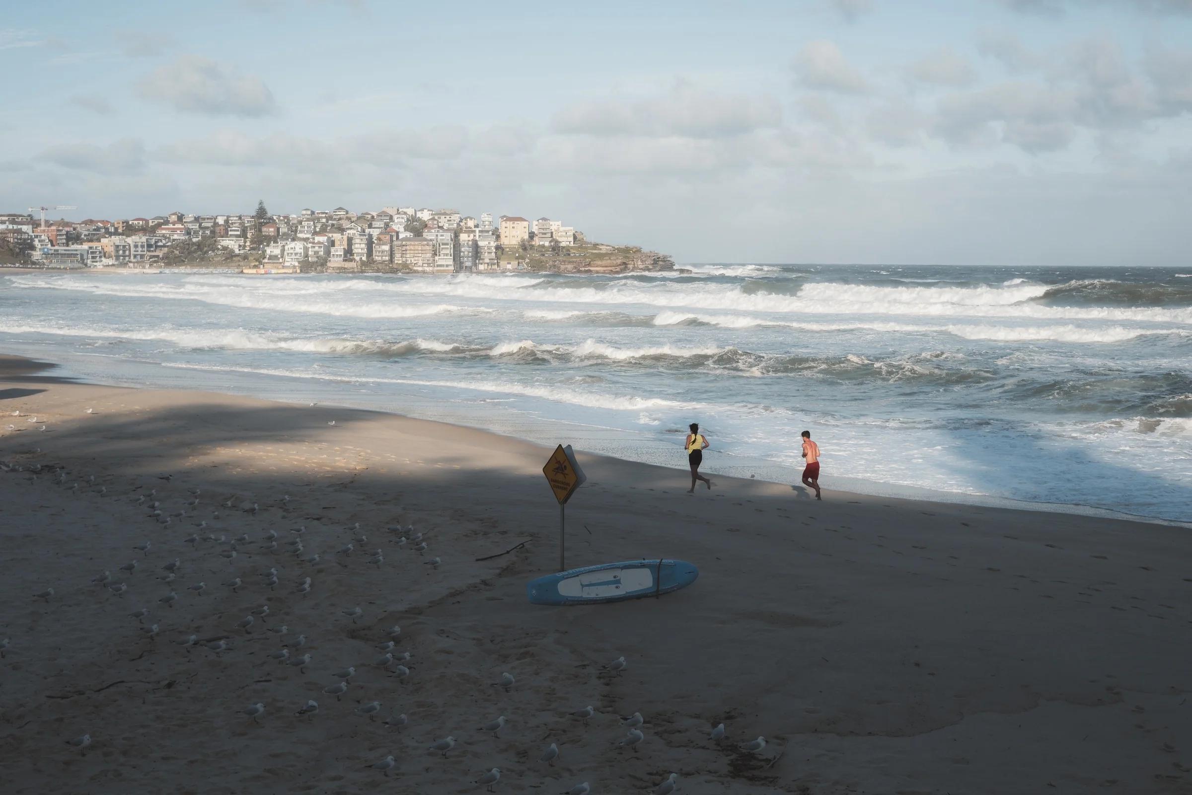 Surfers and Seagulls on Bondi Beach